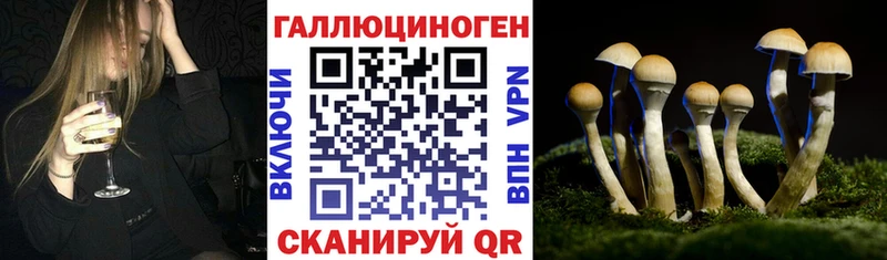 Псилоцибиновые грибы прущие грибы  Купить  Пойковский 